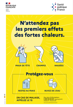 Les bons réflexes à adopter face à la canicule 