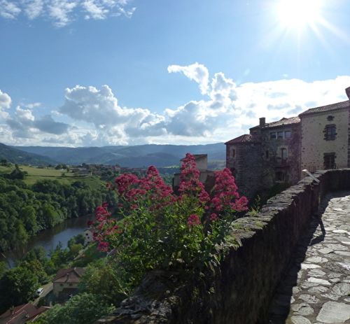CPTS des Rives du Haut Allier